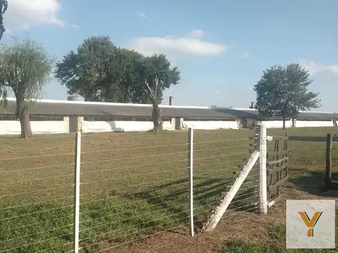 Campo en venta - 17.300Mts2 - Chacabuco