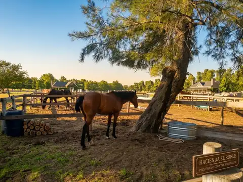 LOTE 860 m2 HARAS SANTA MARIA Excelente UBICACION!