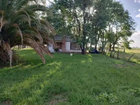CAMPO EN BRAGADO 110 Hectáreas, GANADERO, APTO FEEDLOT