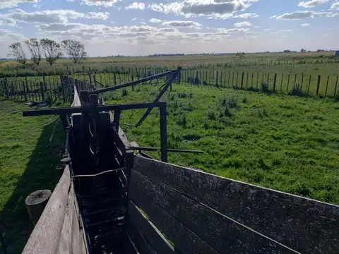 CAMPO EN BRAGADO 110 Hectáreas, GANADERO, APTO FEEDLOT