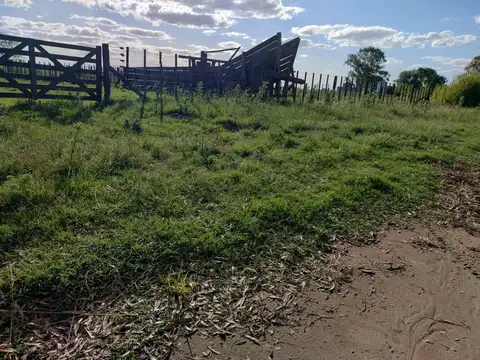 CAMPO EN BRAGADO 110 Hectáreas, GANADERO, APTO FEEDLOT
