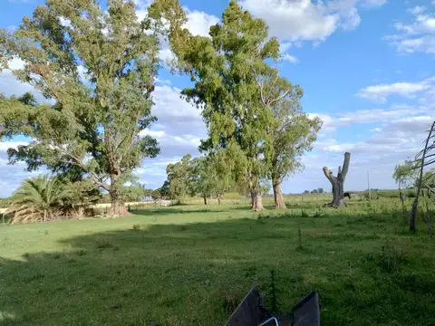 CAMPO EN BRAGADO 110 Hectáreas, GANADERO, APTO FEEDLOT
