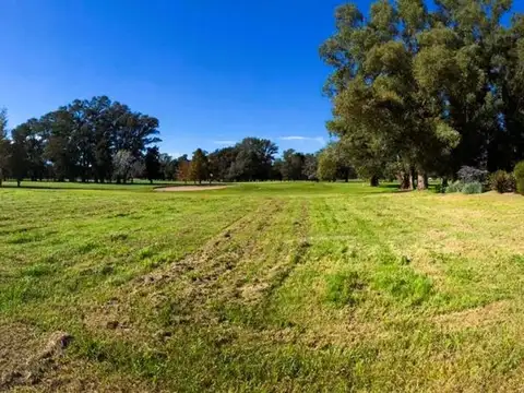 Terreno en Venta 45  mts Fondo