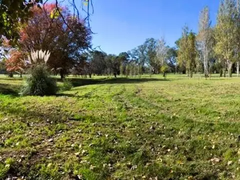 Terreno en Venta 20  mts Frente