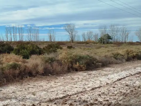 RUTA 34