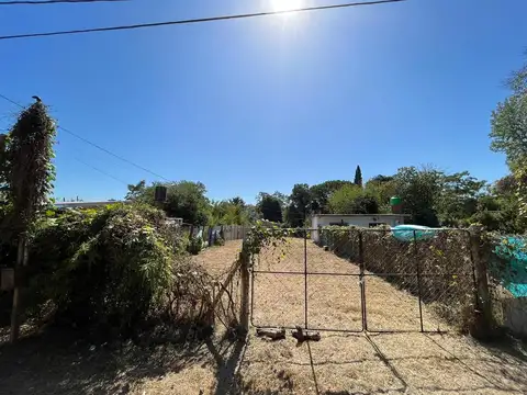 Chimbora 3700
