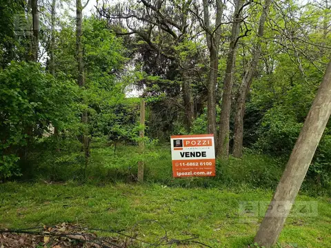 LOTE en esquina 489 m2 - General Pacheco - POZZI INMO