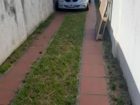 Savio 500