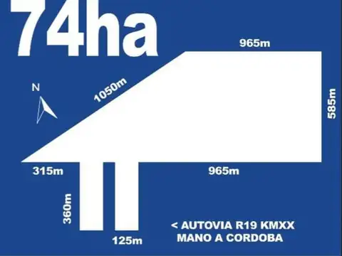 CAMPO SOBRE RUTA 19