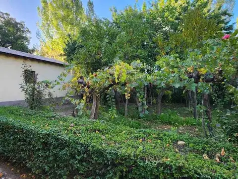 José Néstor Lencinas 700