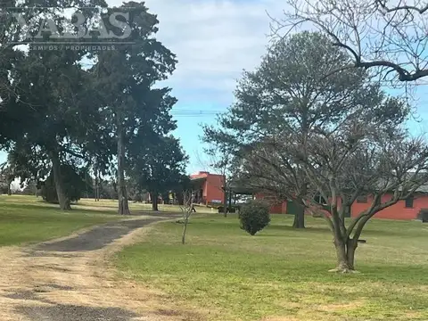 VENTA - CAMPO DE PRIVILEGIO - 25 HECTAREAS