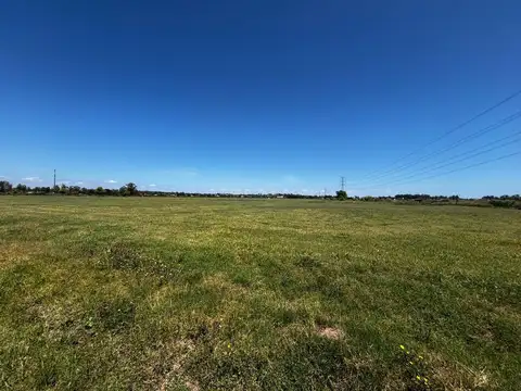 Camino A Dique Luján-rene Favaloro 1500