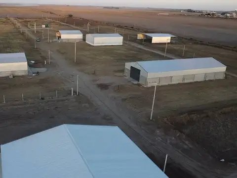 ZONA INDUSTRIAL Hernando 100