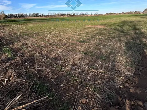 Quinta en Venta 2025 años