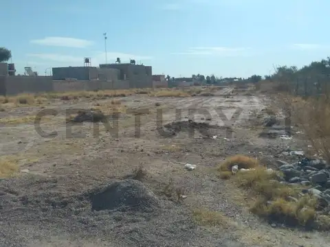 Los girasoles , Piso 0