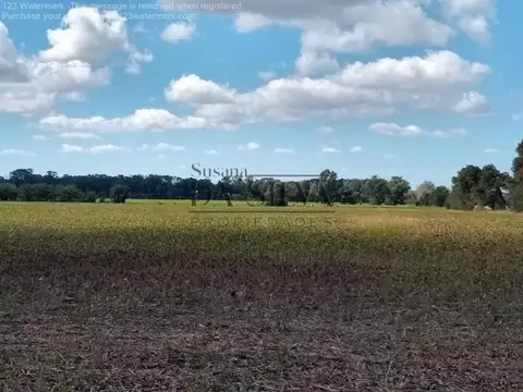 CAMPO 25 Ha en Marcos Paz. NUEVO VALOR DE VENTA