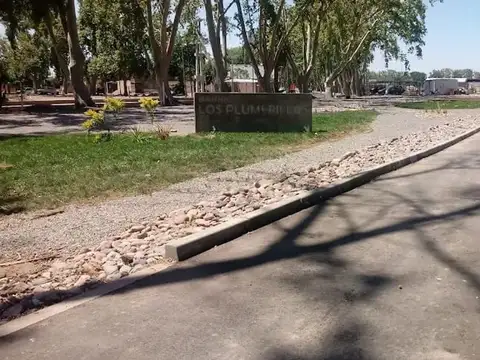BARRIO LOS PLUMERILLOS