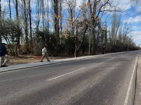 Lotes 1 Ha Finca Junin