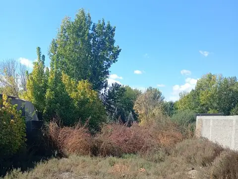 Ruta Nacional 40