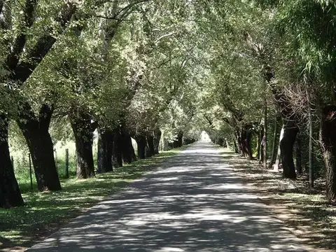 LARENA COUNTRY CLUB PILAR - OPORTUNIDAD! 100