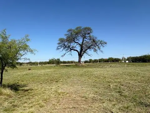 Venta terreno de 1000m2 en Sinsacate