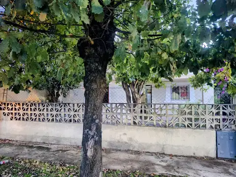 LEONISMO ARGENTINO al 500