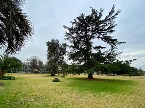 Colectora Oeste KM 51