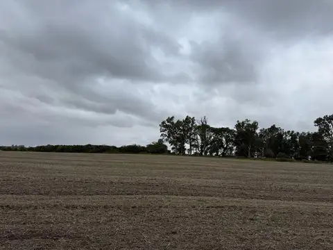 Campo en Venta Agrícola