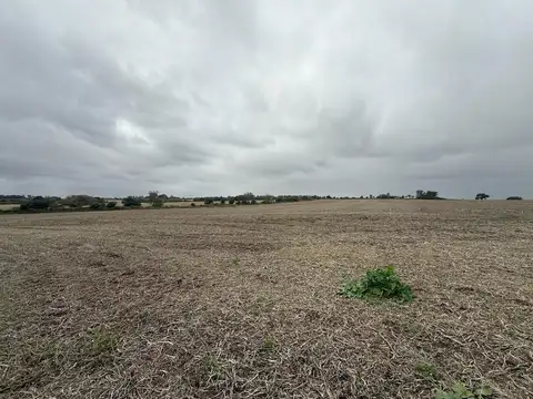 Campo en Venta de 105  ha