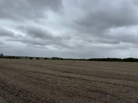 Campo en Venta de 105  ha