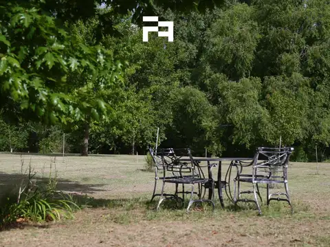 CAMINO VIEJO A YACANTO