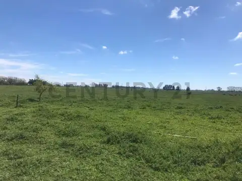 RUTA 11 kM. 58 100