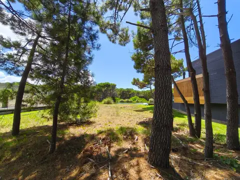 Terreno en Venta de 930,0 m2