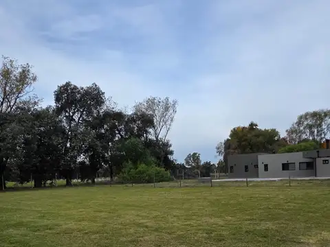 El Cardal II 100