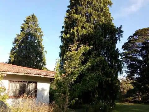 Casa en venta - 3 Dormitorios 2 Baños - Chapadmalal