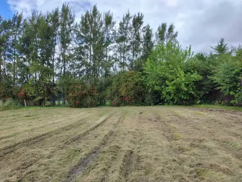 Terreno en Venta 25  mts Frente