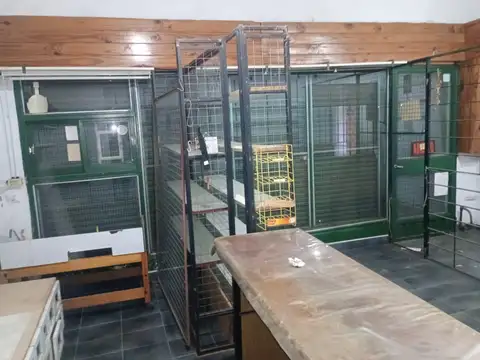 Ascasubi 5600