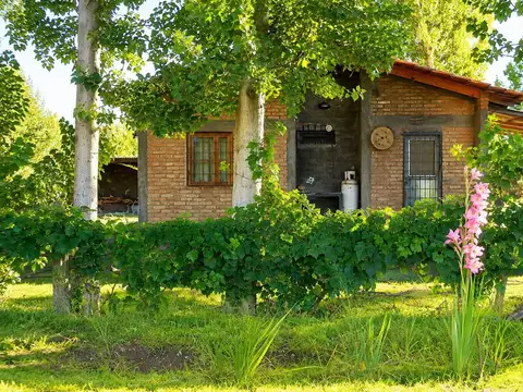 Venta de 2 casas con finca en Fray Luis Beltran