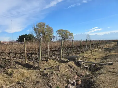 FINCA Y COMPLEJO TURÍSTICO EN VENTA EN TUNUYÁN