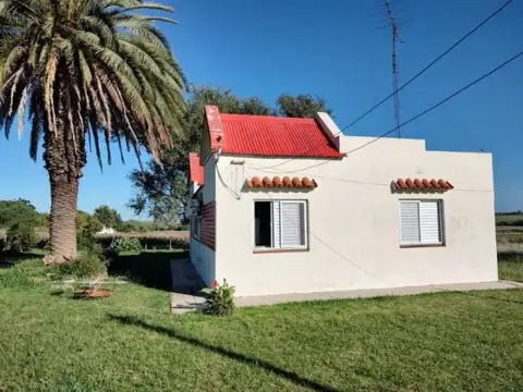 Molino Doll 7 , Piso No definido