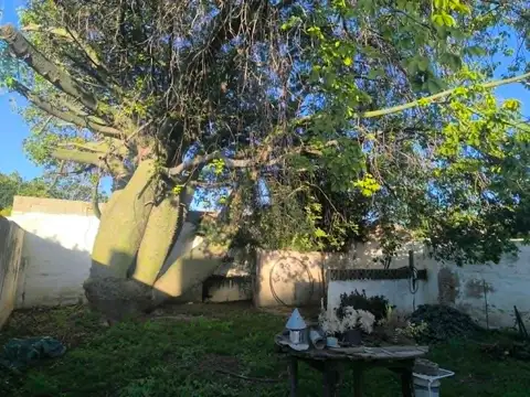 Casa en Venta 56 años