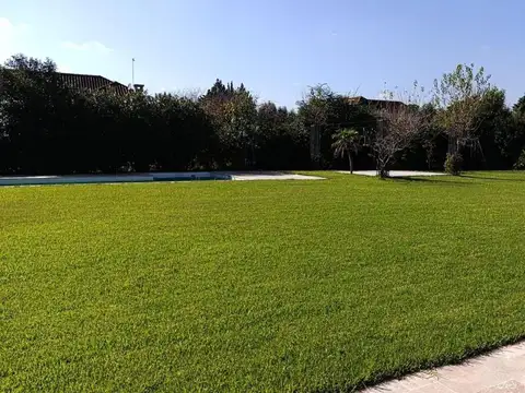 Rio Hondo al 500 CC San Francisco, Manzanares Pilar