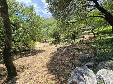 Terreno en Venta de 1600,0 m2