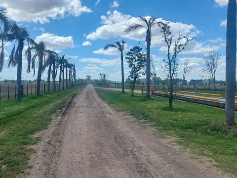 Campo en venta de 28 ha. en Carlos Keen, Luján