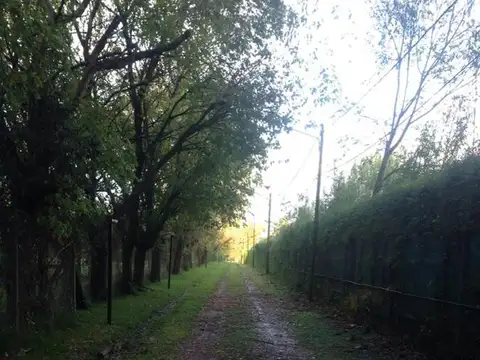 Terreno en Venta de 806,0 m2