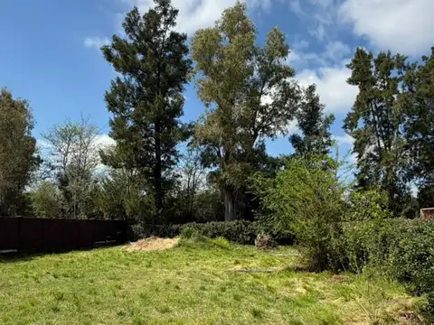 LOTE DE TERRENO EN LA LONJA - 600 M2 - BALDIO - MUY BUENA UBICACIÓN- ASFALTO -