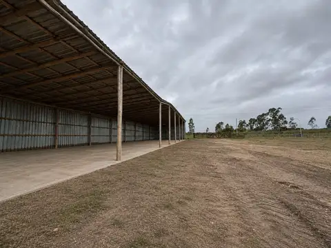 Galpon en Alquiler en Empalme Olmos, $U 55.000
