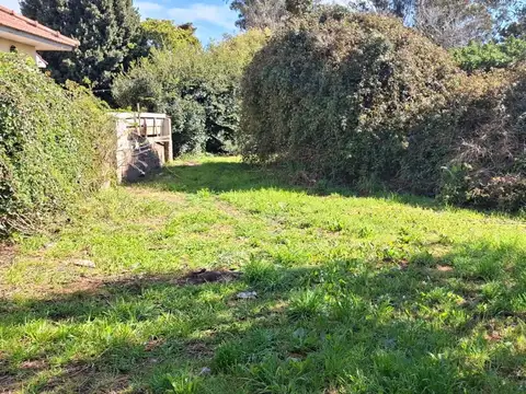 Terreno en Venta de 300,0 m2