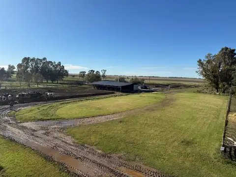 CAMPO MIXTO EN VENTA 334 HAS, RANCHOS, GENERAL PAZ
