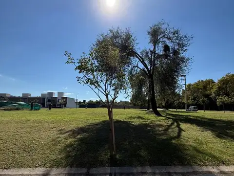 Terreno en venta La luisita zona sur